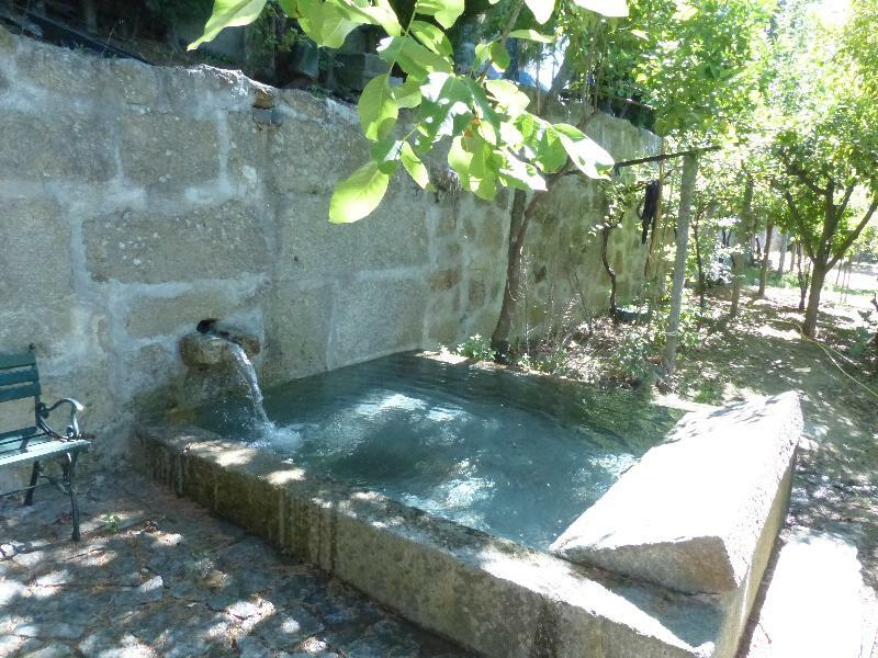 Villa Quinta Da Cartida Santa Marinha do Zêzere Esterno foto